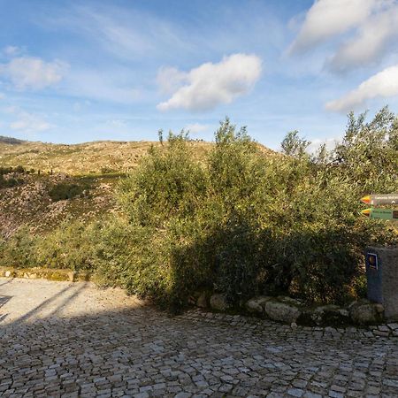 Cosy Remodeled Apartment In The City Center Fundao Luaran gambar